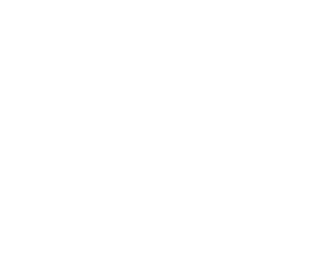 Intelbras